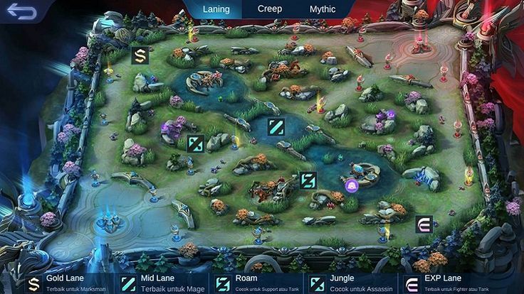 map-mole